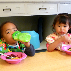 Child Care Food Program