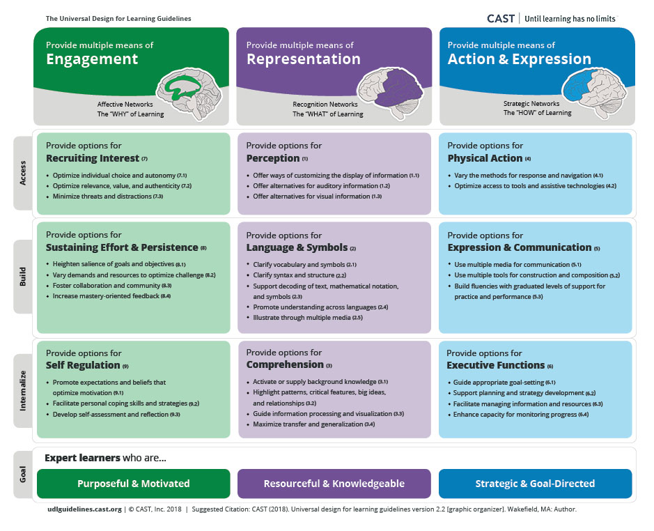 Universal Design for Learning (UDL) Graphic Organizer