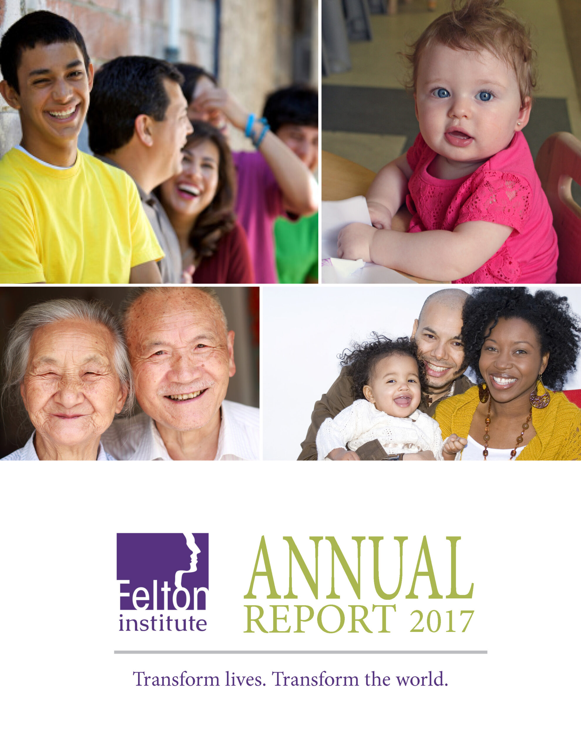 Felton Institute 2017 Annual-Report - Cover. 